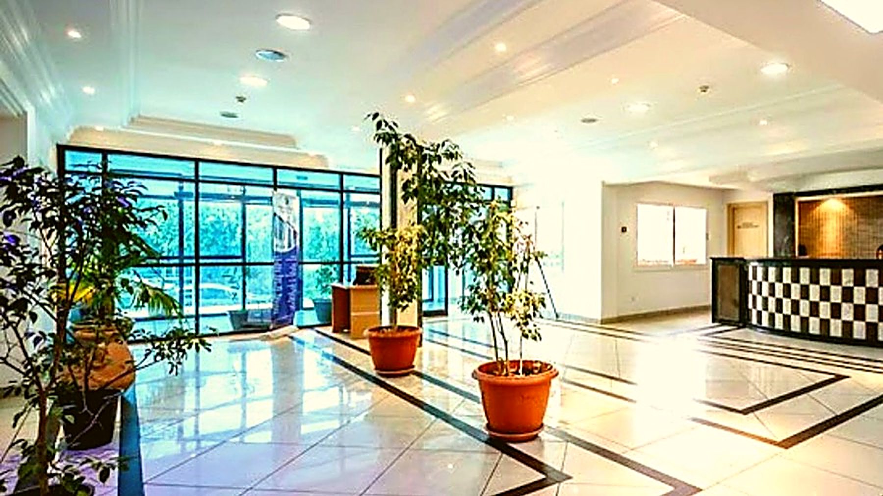 Hall d'accueil de la clinique, plantes et comptoir.